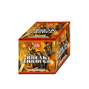 Chinese Professional Fireworks Hot Sale Fireworks Show Toy Fireworks