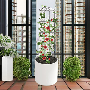 Treillis avec feuilles, best-seller, <span class=keywords><strong>design</strong></span> classique de haute qualité, <span class=keywords><strong>support</strong></span> de <span class=keywords><strong>plantes</strong></span> en métal <span class=keywords><strong>pour</strong></span> <span class=keywords><strong>plantes</strong></span> en bonsaï - Product Image 6