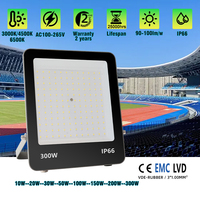 Projecteurs LED DOB 100W 150W 200W 300W Max30000lm IP66 Étanche 4KV Garantie 2 ans Éclairage extérieur commercial