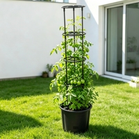 Jardinière en plastique à arrosage automatique, pots de fleurs auto-arrosants avec supports de croissance pour tomates