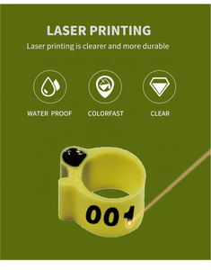 F-005 20Mm Plastic Kippenpootbanden Ringen Voor Hanen Nieuw Pak Spiraalvormige Pootbanden - Product Image 5