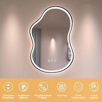Miroir LED mural personnalisé, moderne, abstrait, irrégulier, avec capteur, anti-buée, trois couleurs, pour salon et salle de sport