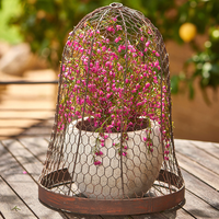 Cloche de jardin en métal ronde de 48 cm de hauteur, protecteur de plantes, dôme, cage en fil métallique pour fleurs et légumes