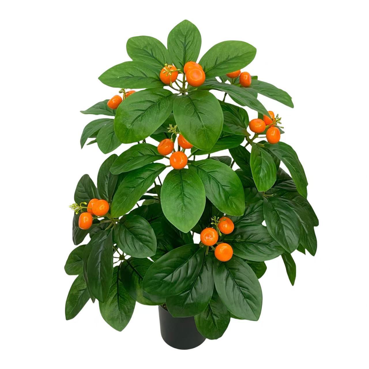 Naranja-sin maceta