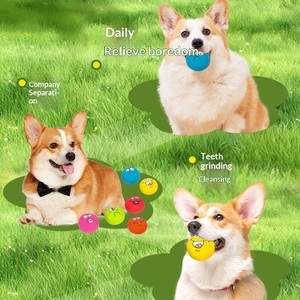 Palla Giocattolo per Cani con Suono, Giocattolo da Masticare in Gomma Resistente con Faccine Divertenti per la Dentizione dei Cuccioli, Gioco e Sollievo dall'Ansia - Product Image 5
