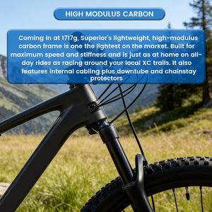 Bicicleta de Montaña Lewee de Fibra de Carbono XC de 29 Pulgadas, Ligera, con Transmisión <span class=keywords><strong>Shimano</strong></span> de 12 Velocidades y Frenos de Disco Hidráulicos, Proveedor OEM - Product Image 6