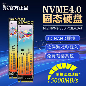 SK SK-1000 M.2 NVMe 4.0 256GB Solid State <b>Drive</b> PCIe Protocol High Performance Laptop <b>Hard</b> <b>Drive</b> - Product Image 2