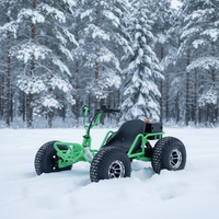 Kart électrique 48V 500W pour la course, le drift et la piste, charge maximale : 300 kg, conçu pour les pistes de jardin et les courses en plein air