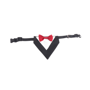 <span class=keywords><strong>Collar</strong></span> para Perro Estilo Caballero Británico con Lazo y Hebilla, Accesorio para Bodas - Product Image 5