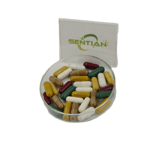 Extrait de Shilajit Capsules 500mg Capsules de Shilajit - Product Image 4