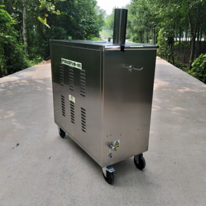 Máquina de Lavado de Autos a Vapor Móvil para Talleres de Lavado de Autos, Pequeña Máquina de Limpieza Multifuncional a Gas - Product Image 2