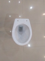 Cuvette de toilette écologique européenne indépendante P Trap Toilette sans eau sans réservoir