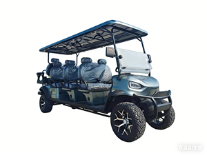 Voiture de golf électrique à propulsion par roues personnalisée par le fabricant, voiturette de golf, voiture de chasse avec image de recul - Product Image 2