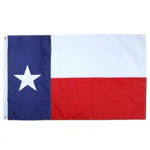 Wholesales Custom All Country Flags Design Flag 3x5 Foot Polyester High Quality National Flags