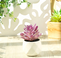 Mini bonsaï artificiel créatif, fausse plante succulente, ornement de bureau, petite plante en pot simulée pour la décoration de la maison et de la table