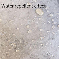 Agent d'étanchéité inorganique transparent nano imperméabilisant en gros à base d'eau pour la pénétration des surfaces
