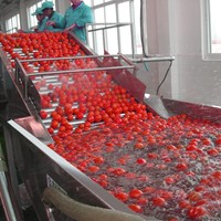 Hoge kwaliteit, hoge efficiëntie, milieuvriendelijke wasrolborstelmachine voor het reinigen van fruit, groenten & tarwe, bovenaan de BYFW-model.