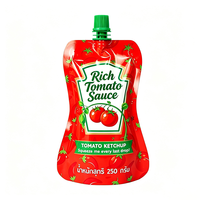 Pochettes souples personnalisées en aluminium composite de qualité alimentaire avec bec verseur et bouchon à vis pour sauce, idéales pour le ketchup (sacs Mylar)