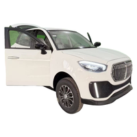 Voiture électrique écologique mini 4 portes 5 places pour adultes et seniors avec un espace intérieur surprenant jusqu'à 100 km/h pour les courses