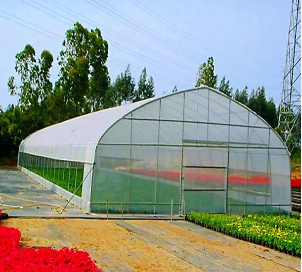 Agriculture Industrial Poly Tunnel Greenhouse Strong Structure Round Arch Other Greenhouses Plastic Film Green House