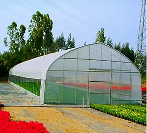 农业工业聚隧道温室强结构圆拱其他温室塑料薄膜温室