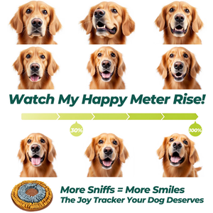 Alfombra Olfativa para Mascotas, Comedero para Perros Pequeños y Medianos, Juguetes Interactivos Antideslizantes para Perros - Product Image 3