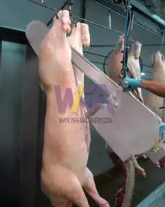 Thiết Bị Lò Mổ Heo Mini Gia Công Giết Mổ Lợn Thiết Bị Lò Mổ Heo Cho Máy Làm Thịt Lợn