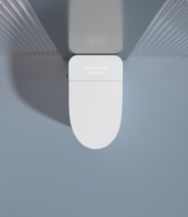 Smart Instant Hôtel Qualité Télécommande Toilette Automatique Voix Buse Intégrée Aucune Restriction De Pression D'eau S-Trap