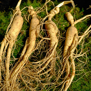Ginseng entier de qualité supérieure, cultivé en forêt de la montagne de Changbai, directement de l'usine, âgé de 25 ans ou plus, 25g, uniquement pour la soupe et le thé. - Product Image 3