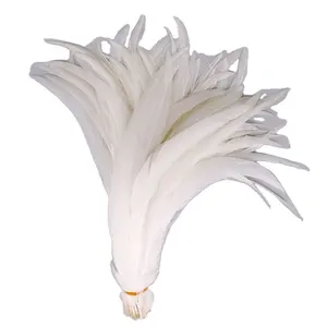Wholesale Snow White Coque Feather Plumas White Rooster Tail Feather Cocktail Feather For Sale