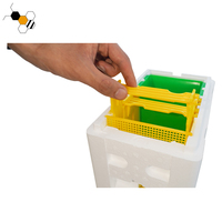 Reine abeille Mini accouplement polystyrène abeille ruches Nucs boîte noyau