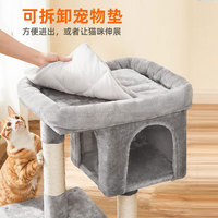 Arbre à chat double nid double couche pour grimper et gratter