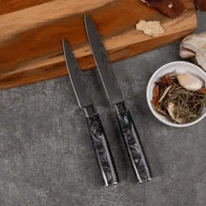 Canivete de cozinha com lâmina de aço Damasco polido à mão, conjunto de facas clássicas de 10 peças, novo, Alemanha, Damasco