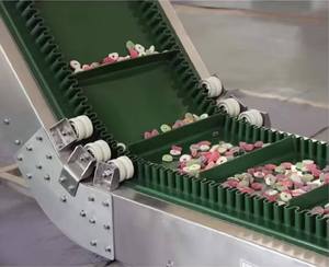 Elevatore con Tramoggia per Spostare dal Miscelatore al Nastro Trasportatore Alimentatore - Product Image 4