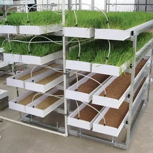 Sistema de forraje hidropónico de cultivo de alfalfa verde grande Máquina de pellets de alimentación blanca de PVC Máquina de alimentación animal de bajo costo para granjas 1 tonelada/H