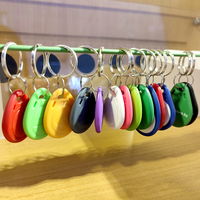 Porte-clés RFID étanches 13,56 MHz FM11RF08 prêts à être expédiés pour système d'accès aux portes, porte-clés RFID en plastique avec puce