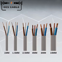 300/500V Grau PVC isoliert 6241Y 6242Y 6243Y Flach kupfer Twin & Earth Elektrokabel Draht BS6004 Standard