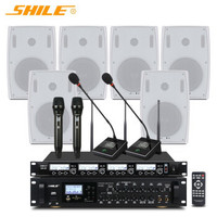 Système de sonorisation professionnel SHILE AV8820 BX-105 pour scène, mariage/salle de conférence, amplificateur, microphone, pack combo 6,5 pouces