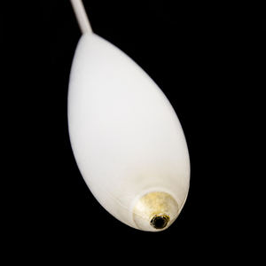 Flotteur de pêche en acrylique, 5 pièces, 20g, lot de plante, carpe, avion à enfoncement lent - Product Image 5