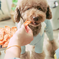 OEM Usine d'aliments pour chiens et chats Vente en gros Bâton molaire riche en protéines et faible en gras Chips de poulet séchées avec fromage Snack pour animaux de compagnie Friandises pour chiens et chats