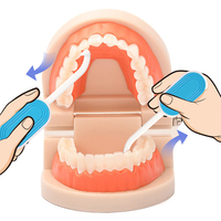 Outil orthodontique 2 en 1 pour aligner les crochets dentaires, pour prothèse dentaire, pour clinique dentaire