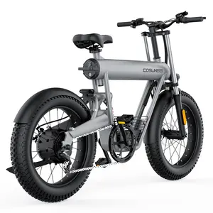 COSWHEEL T20 1000W 팻 빈티지 전기 자전거 사이드 자동차 팻 타이어 Pedelec 전자 자전거 48v 750w 비치 모래 사이드카 Ebike