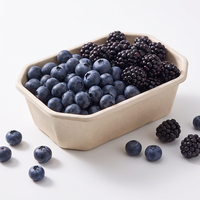 Barquettes en bagasse de canne à sucre laminées sans PFAS, récipients alimentaires micro-ondables, barquettes pour fruits et légumes, barquettes de supermarché