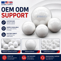 Billes de soupape en zircone blanche SDBALLS 12,7 mm 15 mm 20 mm 25,4 mm 30 mm, billes de pompe en céramique ZrO2 pour clapet anti-retour, débitmètre, pièces d'étanchéité
