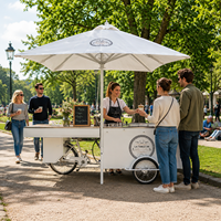 Chariot à main en acier inoxydable commercial, chariot à glaces, chariot mobile avec congélateur pour vendeurs de rue, restauration en plein air