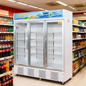 Réfrigérateur Vitrine à Porte Simple en Verre, Refroidissement Direct Électrique, Armoire Réfrigérée pour Boissons, Utilisation Extérieure, Camping-Car, Maison - Product Image 4