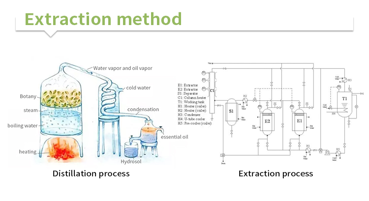 Manufacture Wholesale Price High Quality Lavender Oil /Lavender Essential Oil Pure Nature