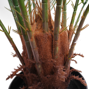 Alta calidad Dubai curvado <span class=keywords><strong>Artificial</strong></span> Areca palmera ventilador palmera en plástico para decoración al aire libre planta <span class=keywords><strong>Artificial</strong></span> elegante - Product Image 5