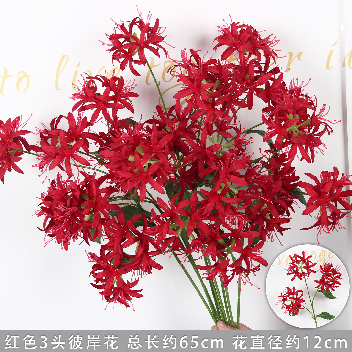 Red three-headed spider lily branch
