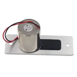Erişim kontrolü için 12V DC zaman gecikmesi elektrik Bolt kilit Mini küçük su geçirmez elektronik dış kapı kilidi